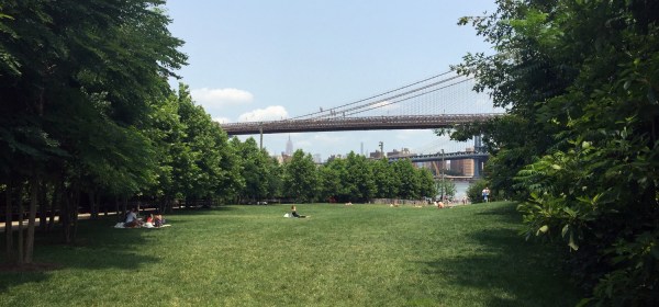 Gramado do Brooklyn Bridge Park
