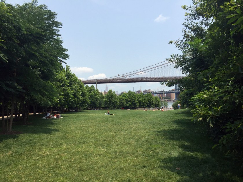 Gramado do Brooklyn Bridge Park
