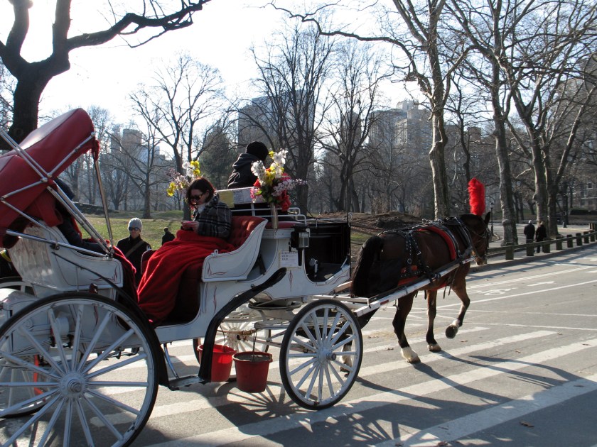 Passeio de carruagem
