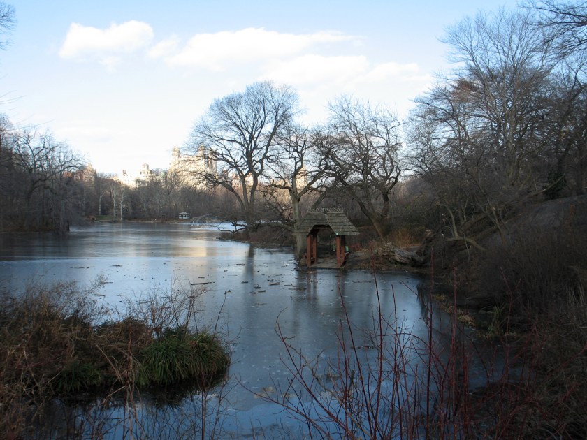 The Lake, no inverno