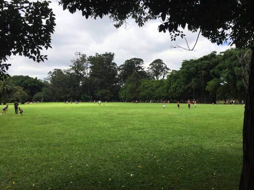 Gramado para atividades diversas