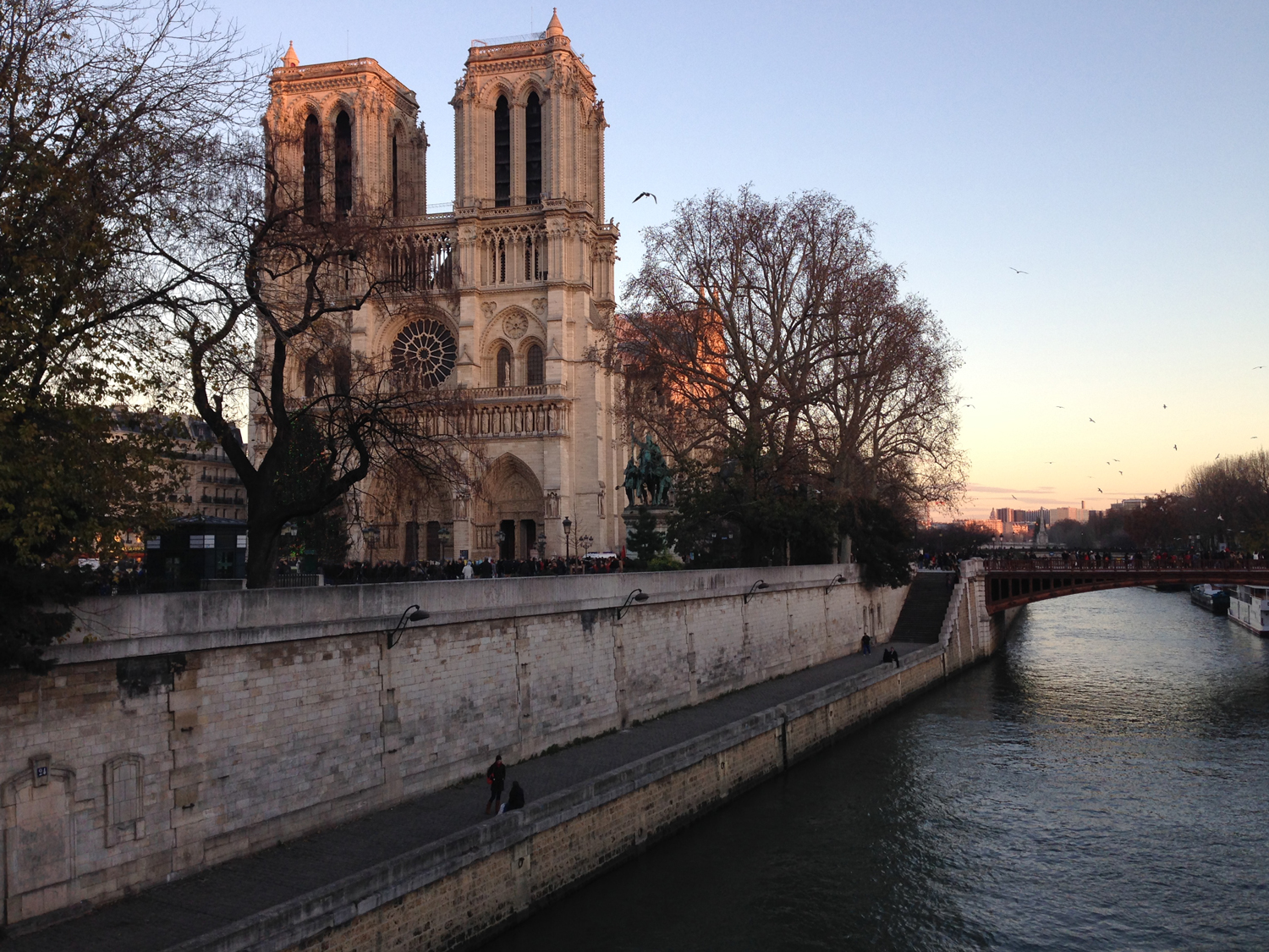 Cathédrale Notre-Dame de Paris