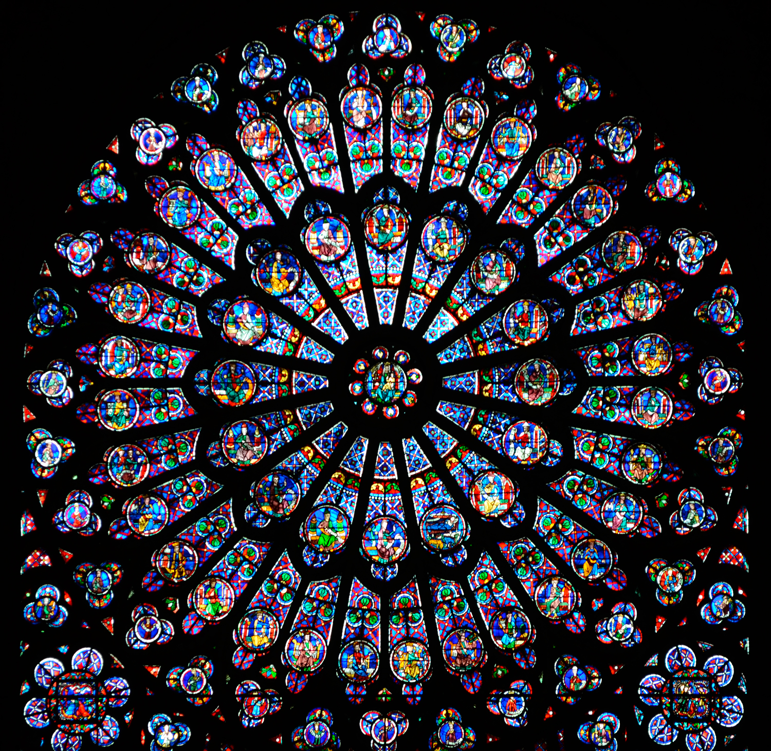 Rose nord | Foto: Oliver Mitchell