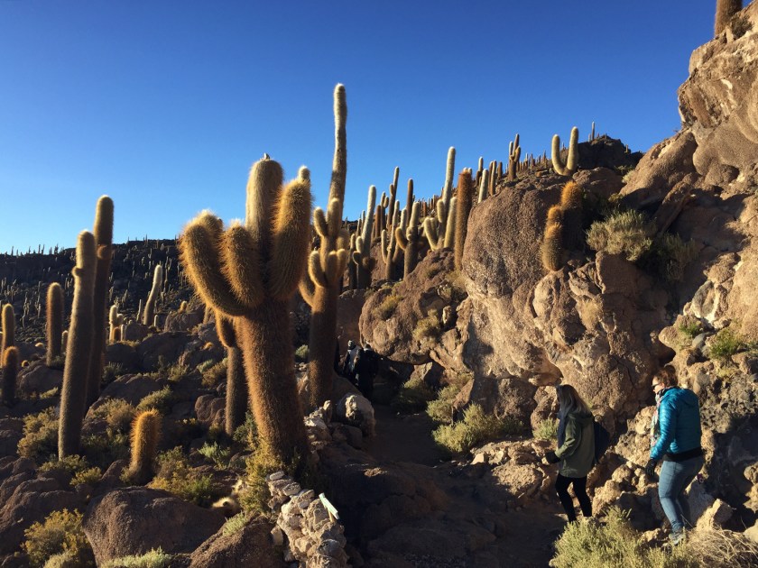 Trilha para o topo da ilha