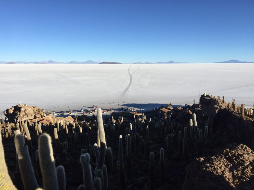 Isla Pescado vista da Isla Incahuasi