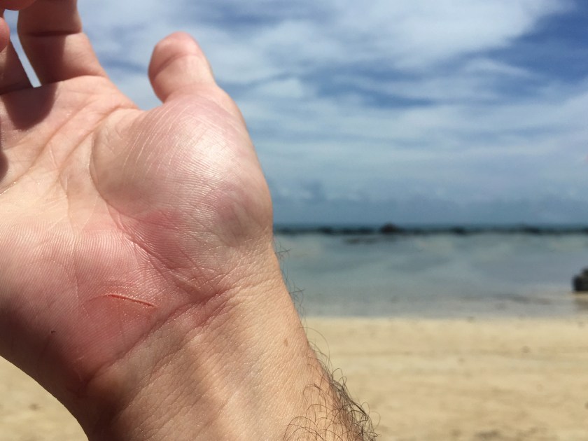 Corte nos recifes de corais