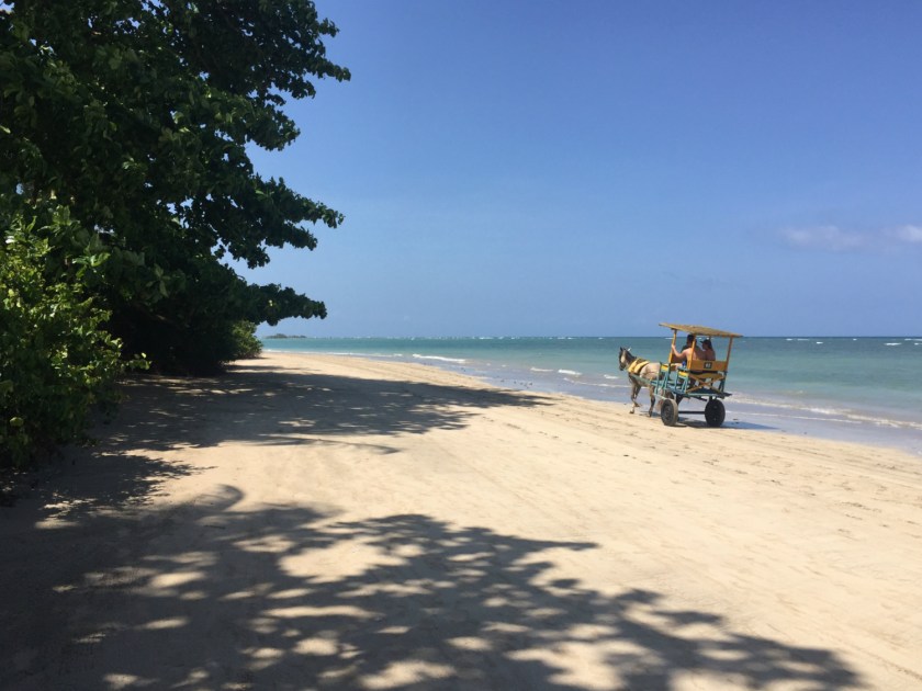 Transporte de turistas
