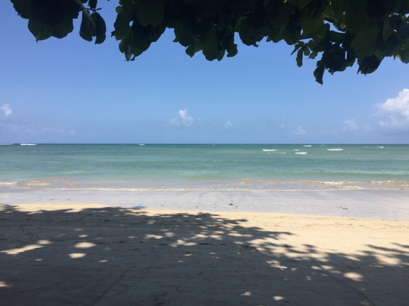 Sombra e água fresca