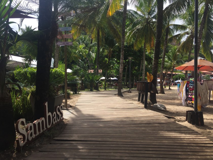 Passarela de madeira