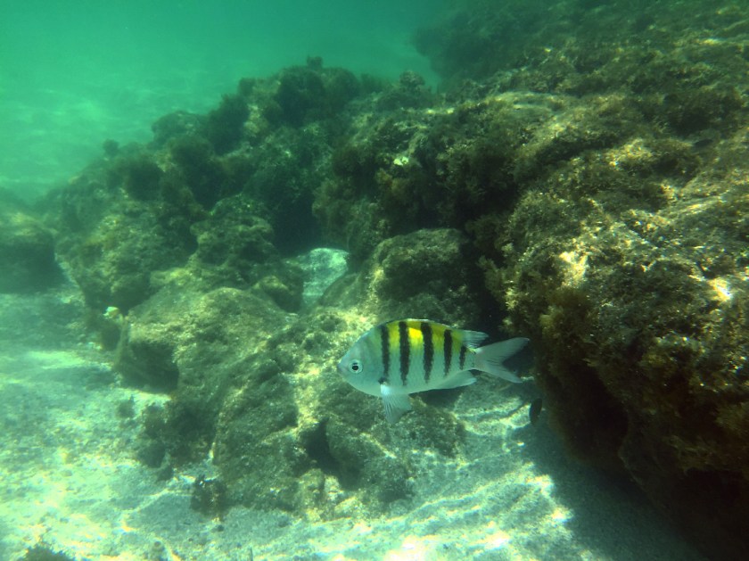 Piscinas Naturais de Garapuá