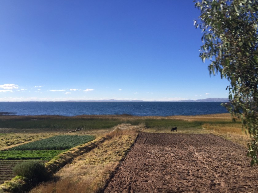 Lago Titicaca na viagem entre Copacabana e Puno