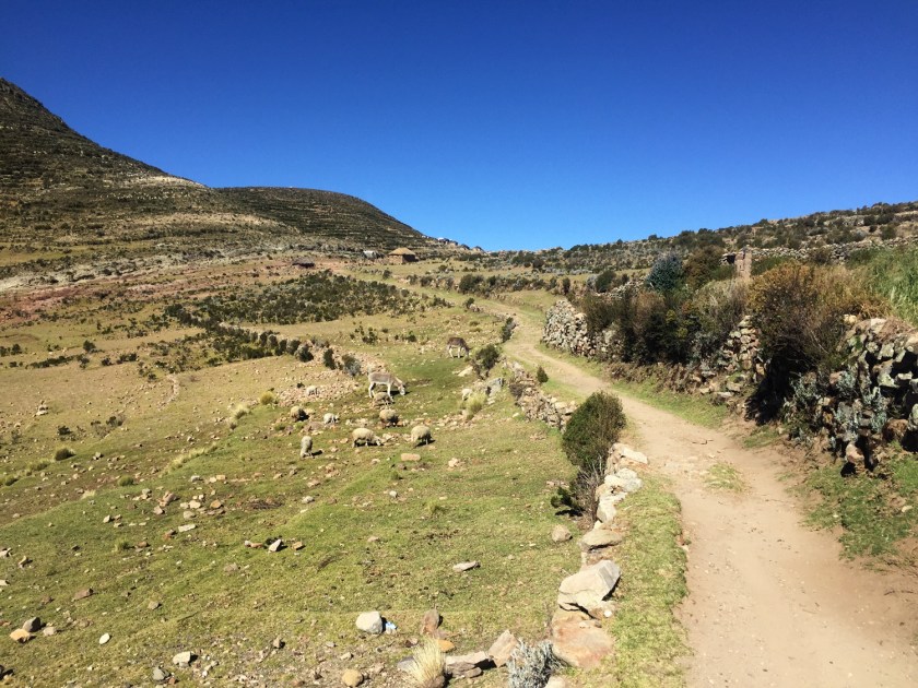 Fazendas e plantações no sul da ilha