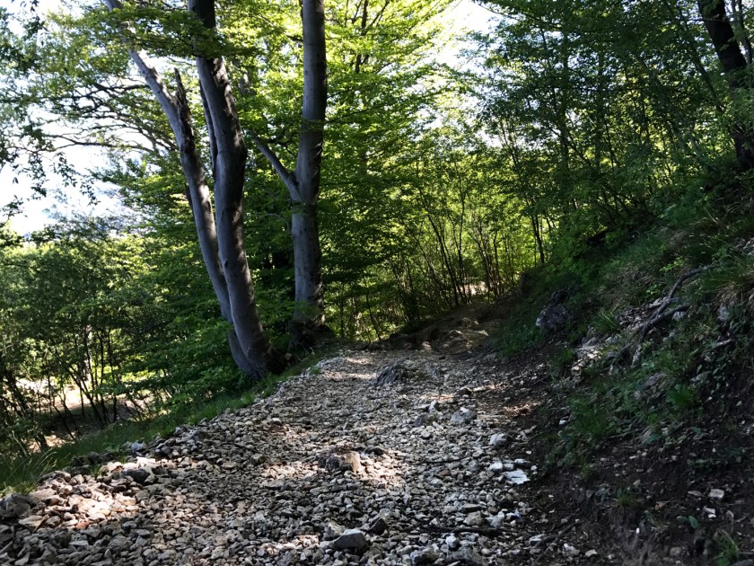 Percorso naturalistico