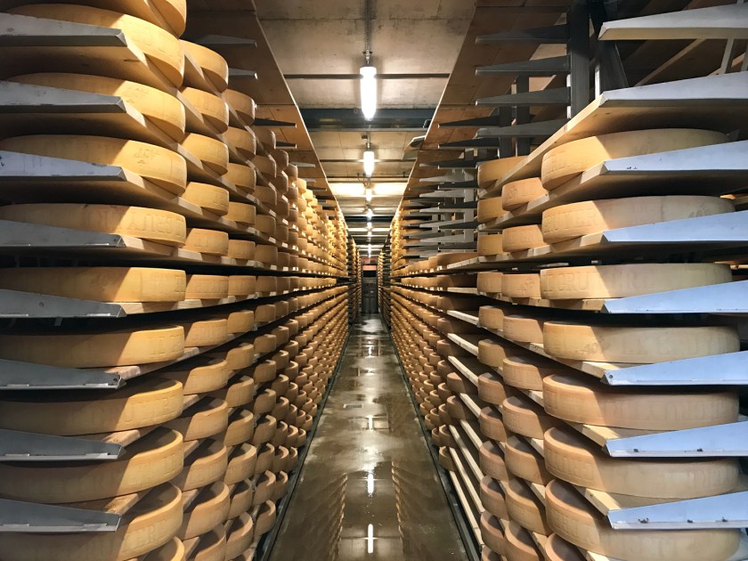 Maturação dos queijos