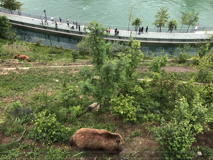 Vista superior do parque