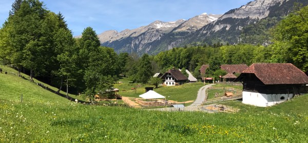 A bela paisagem natural