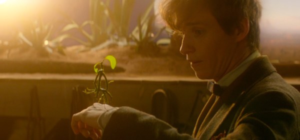 Animais Fantásticos e Onde Habitam