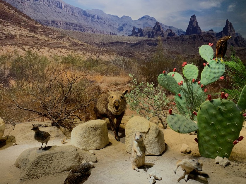 Discovering Life Hall