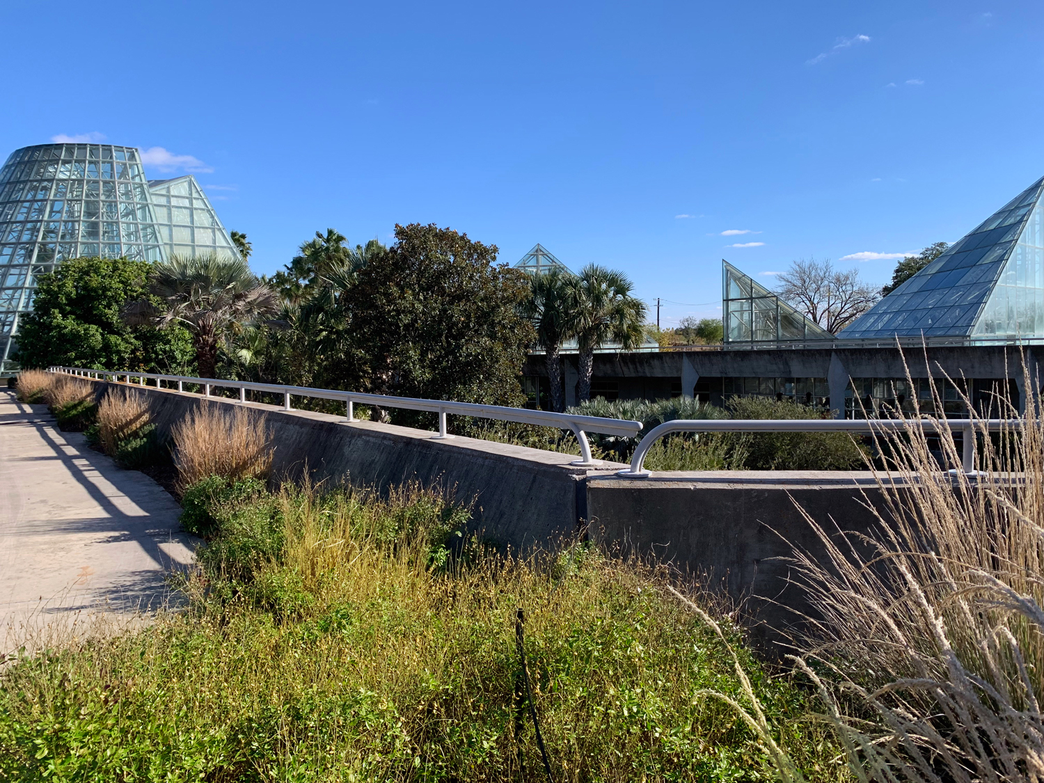 San Antonio – Botanical Garden – Viajento