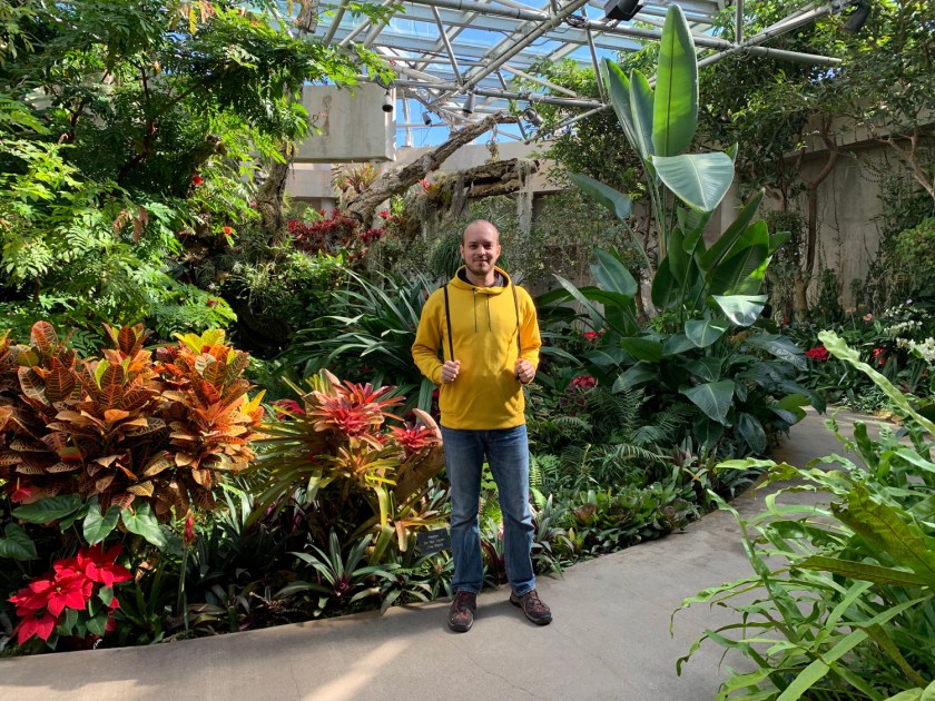 Bromélias e orquídeas em uma das estufas