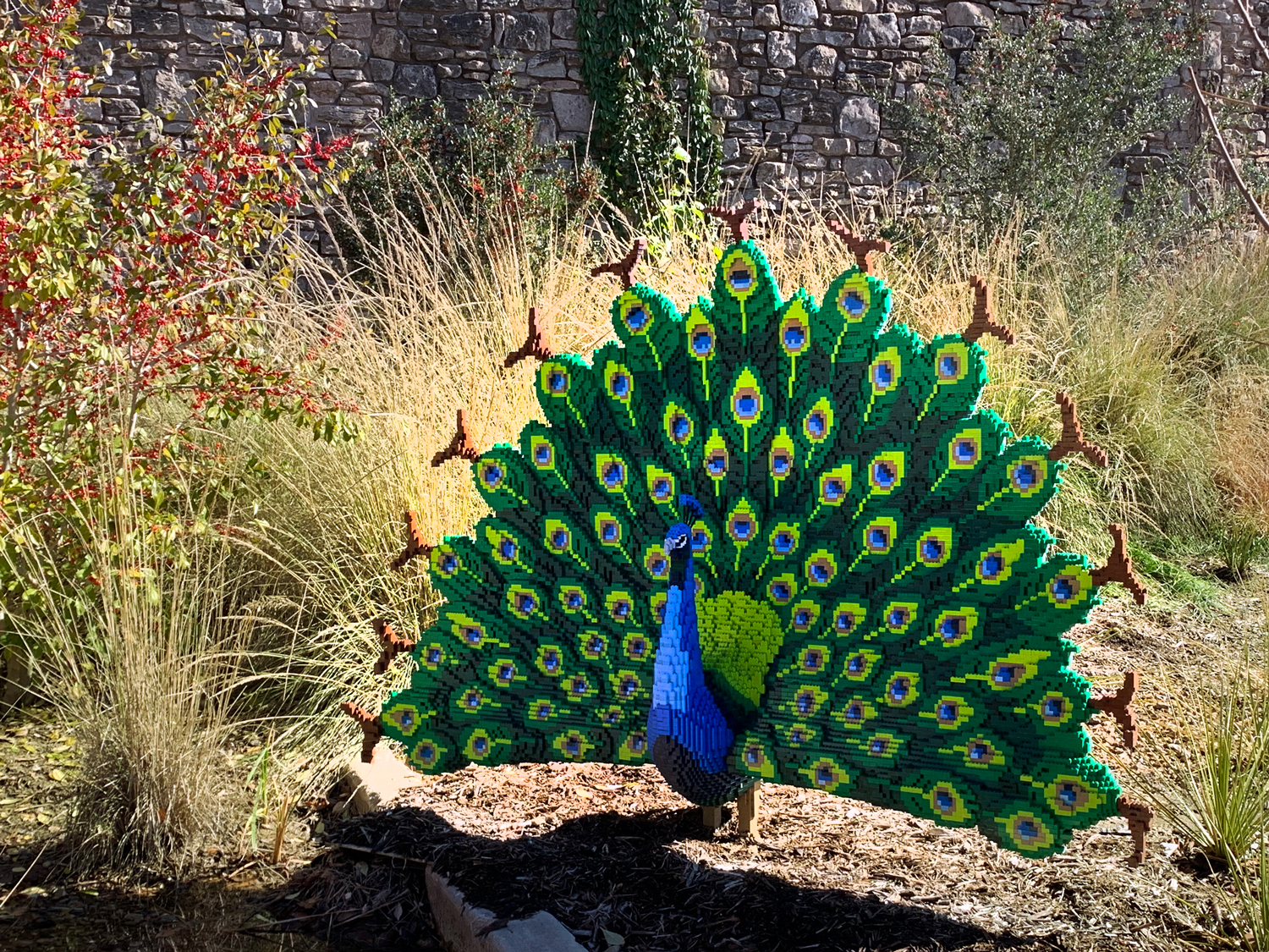 San Antonio – Botanical Garden – Viajento