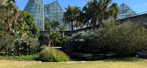 San Antonio Botanical Garden