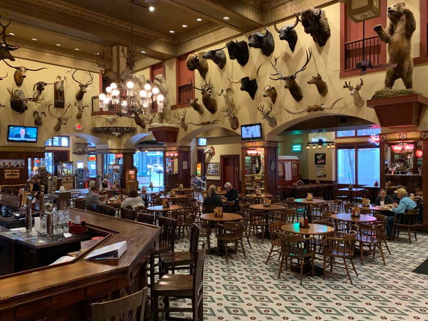 Animais decoram o ambiente