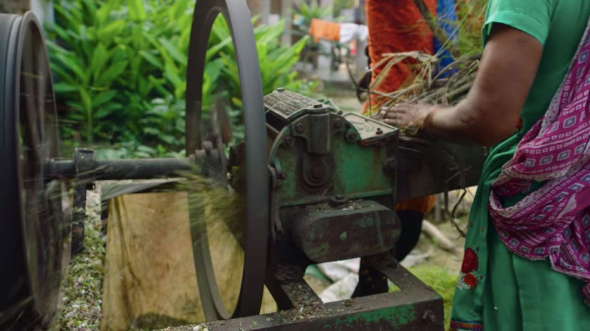 Trabalho tornará mulheres independentes