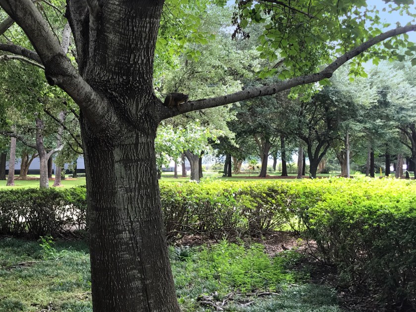 Belos jardins