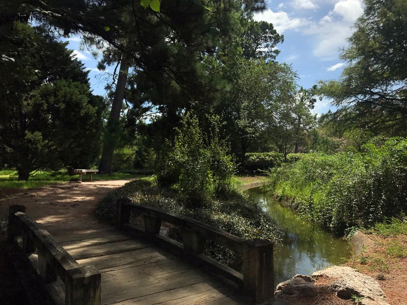 Ambiente agradável do jardim