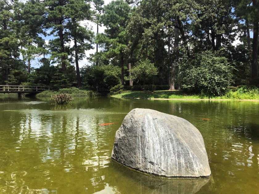 Lago com carpas coloridas