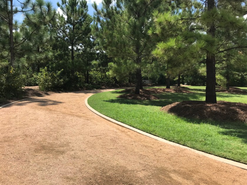 Tudors Family Pine Hill Walk