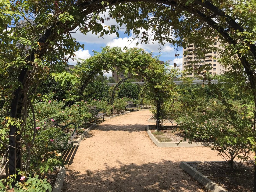 McGovern Centennial Gardens