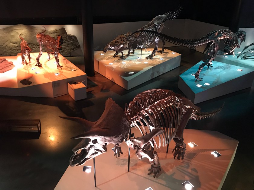 Hall of Paleontology