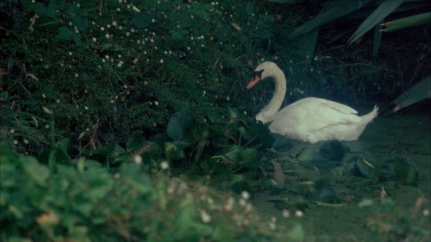 Atmosfera de delírio