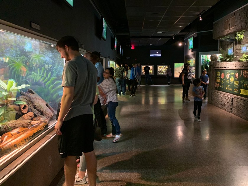 Área coberta dos répteis