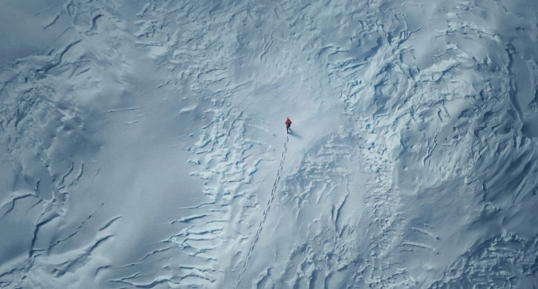 Luta pela sobrevivência na neve