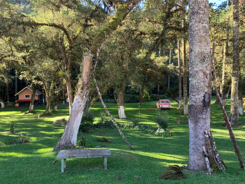Ampla área verde no bosque