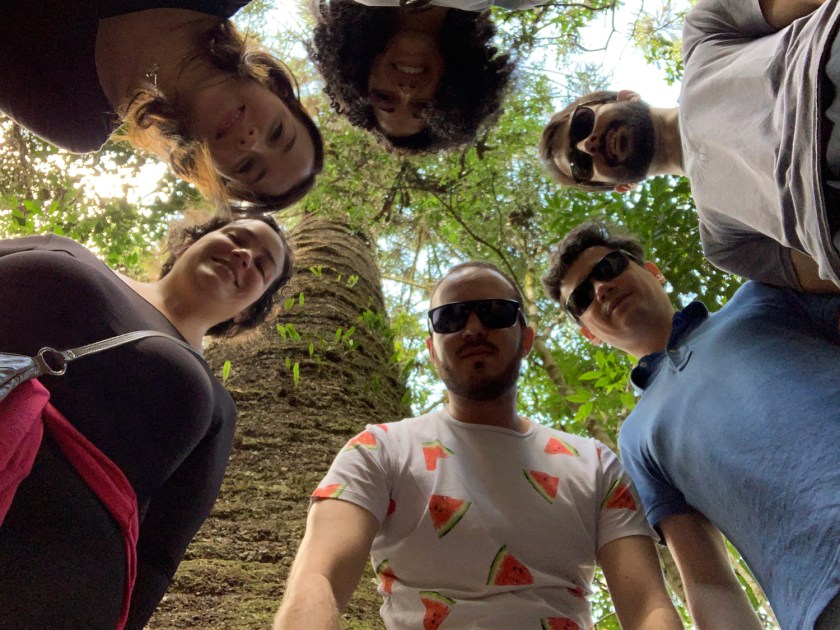 O pinheiro velho é a principal atração da trilha