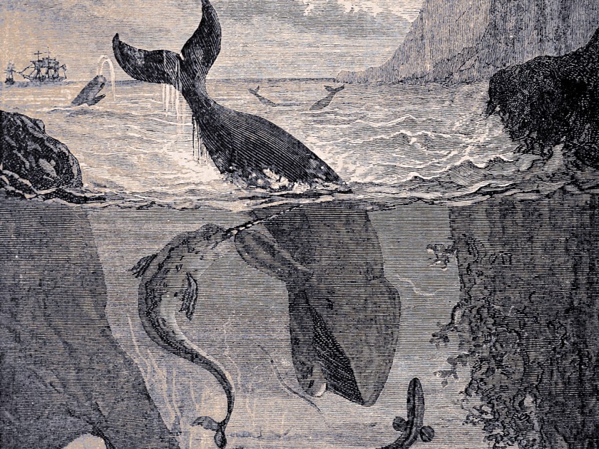 Ilustrações clássicas