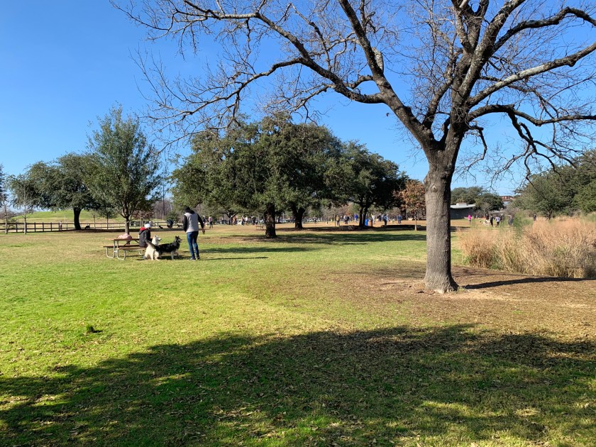 Área livre para os cachorros