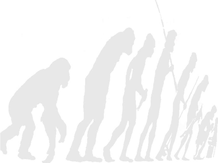 Evolução do homo sapiens