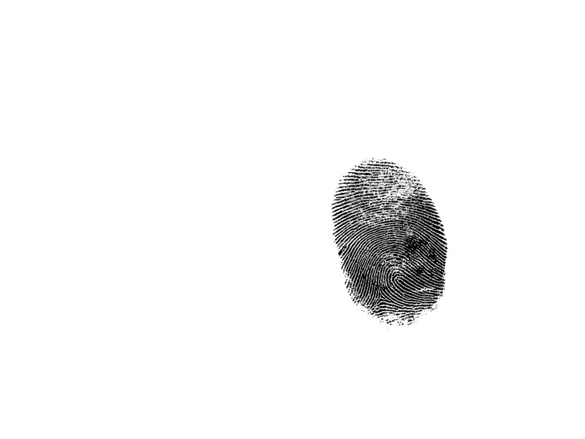 Sapiens: uma breve história da humanidade