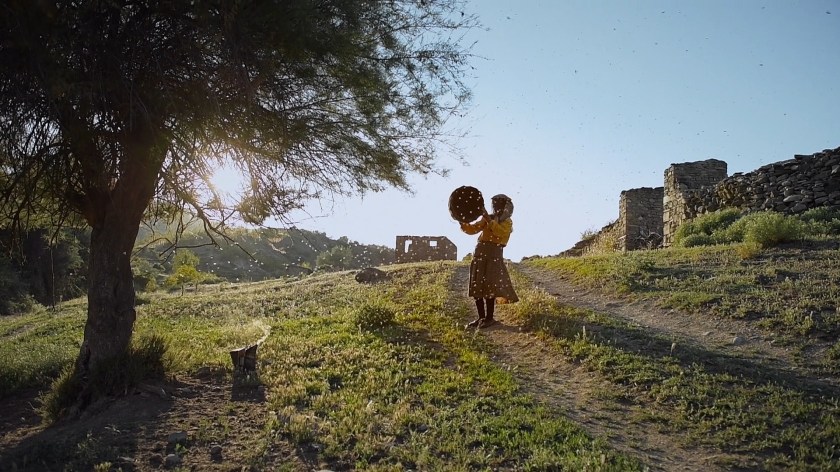 Vida simples no campo