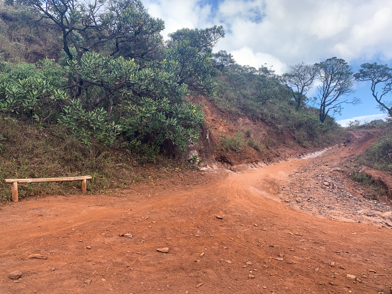 Banco no meio da trilha