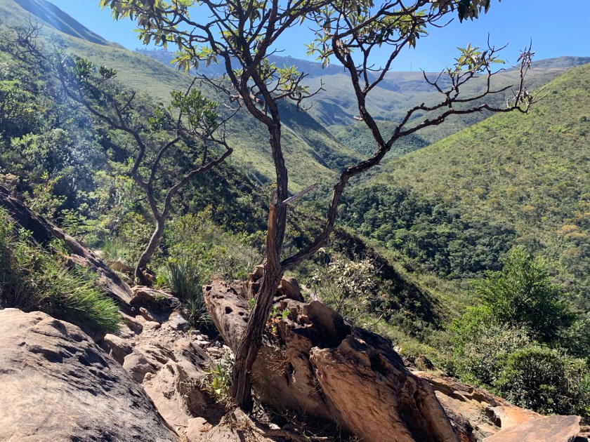 Parte difícil da trilha