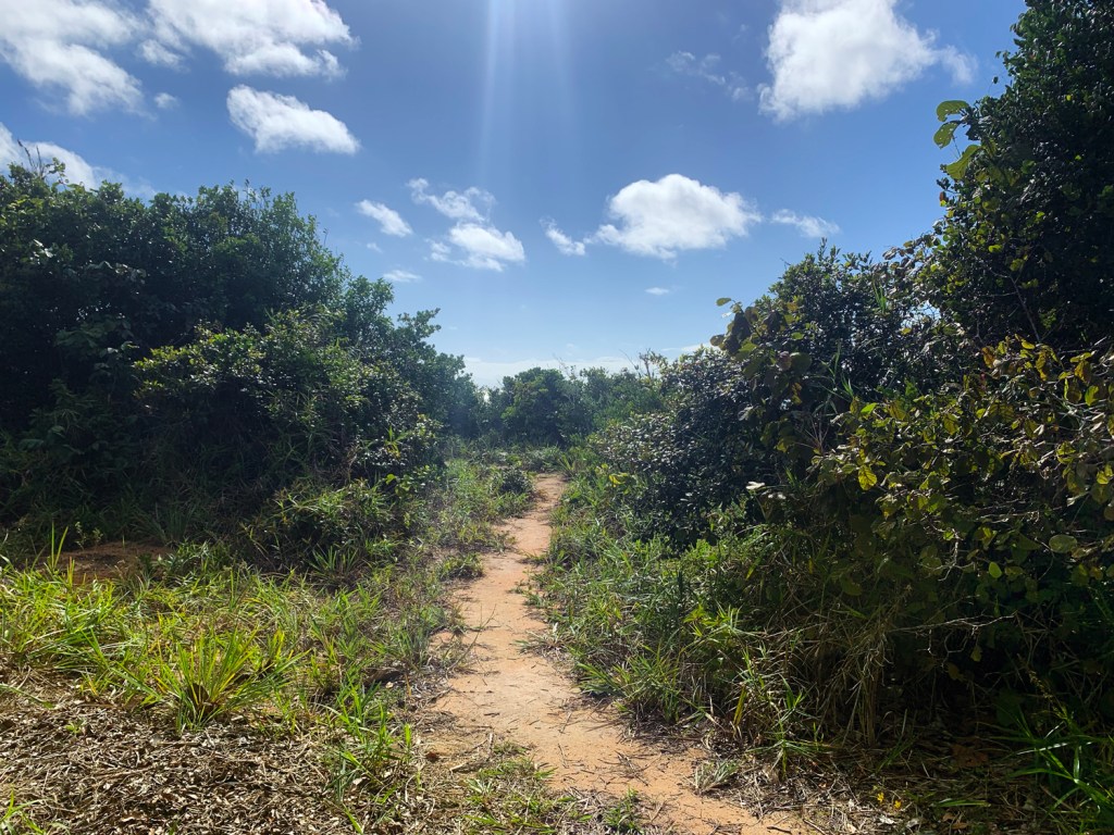 Há trilhas alternativas no topo