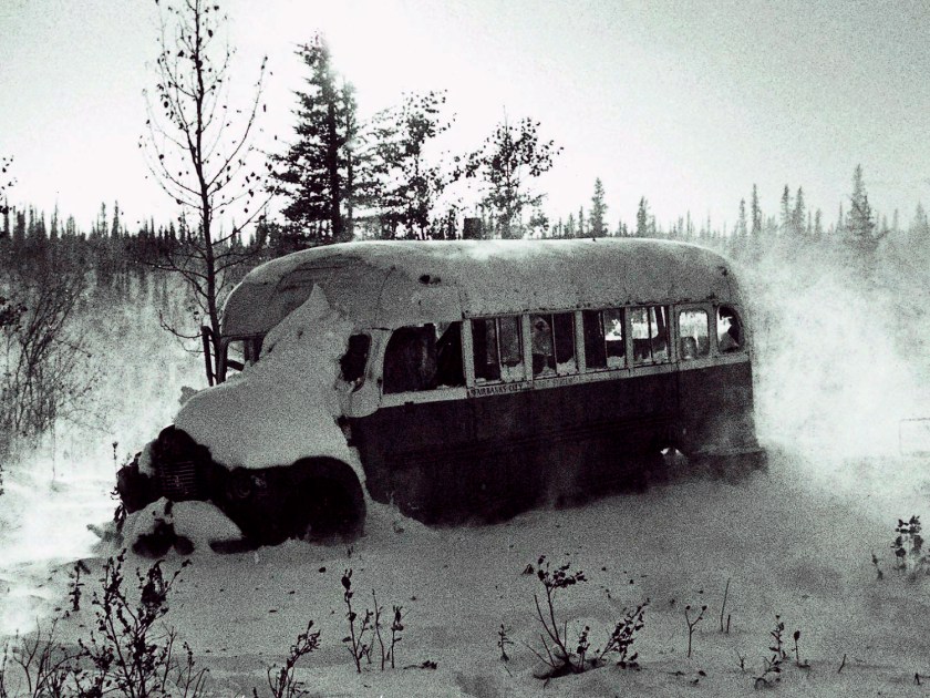 Na natureza selvagem