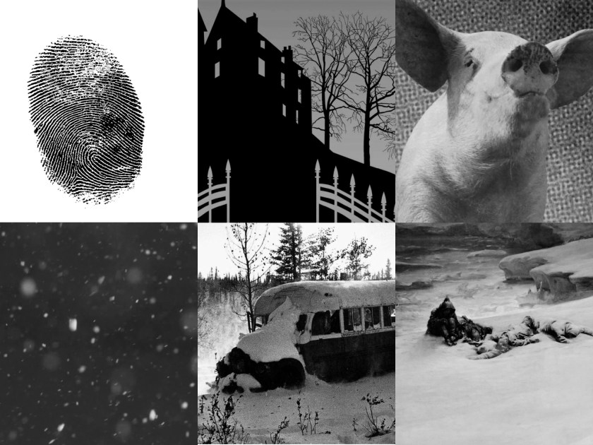 Retrospectiva dos livros lidos em 2020