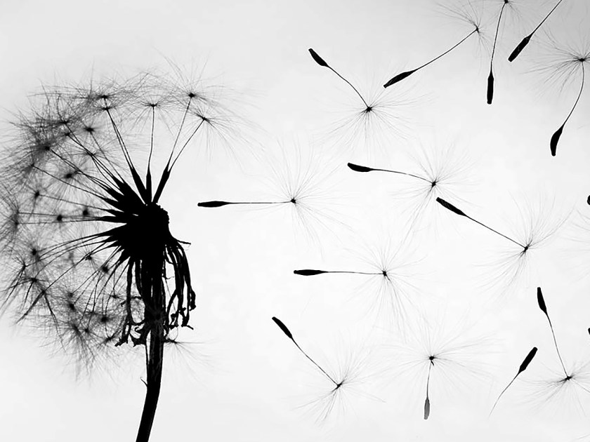 Pandemias: a humanidade em risco